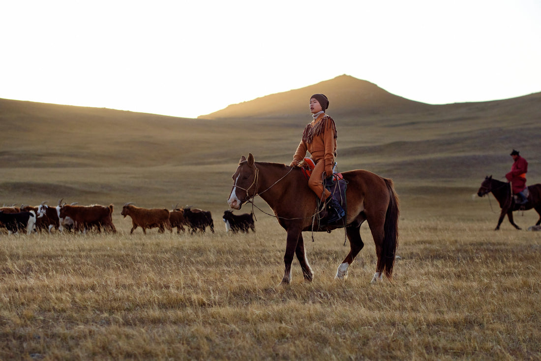 The Year of the Horse Through a Mongolian Lens