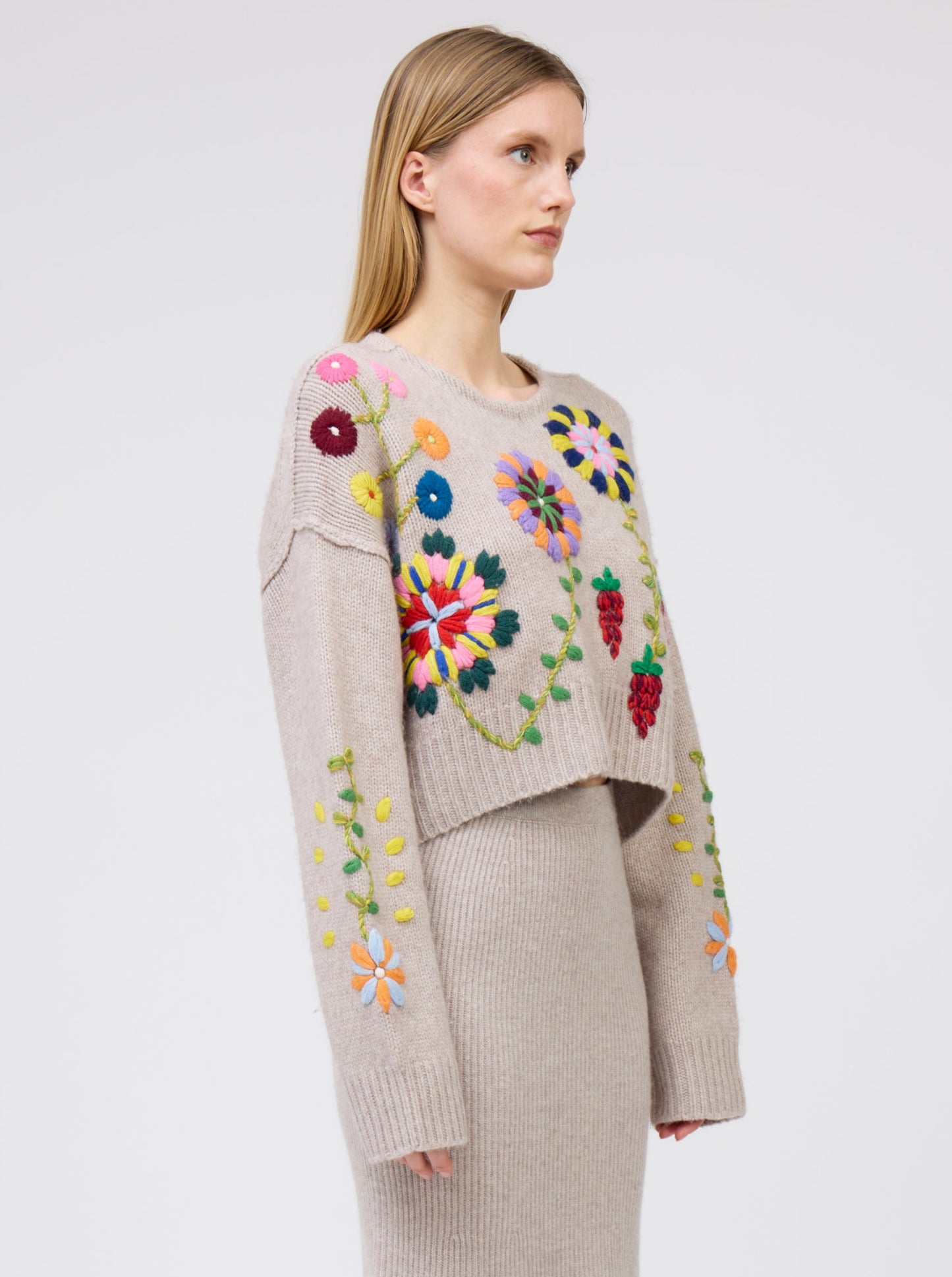 New Beige Cropped Embroidered Jumper with Ribbon Tie